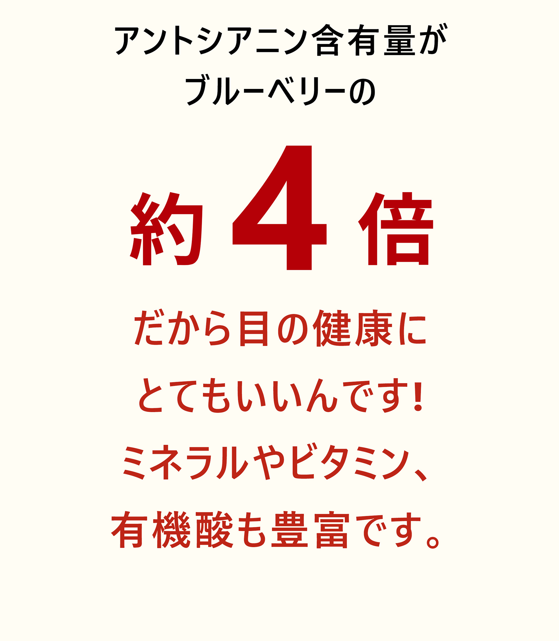 アントシアニン含有量がブルーベリーの約4倍！だから目の健康にとてもいいんです！ミネラルやビタミン、有機酸も豊富です。